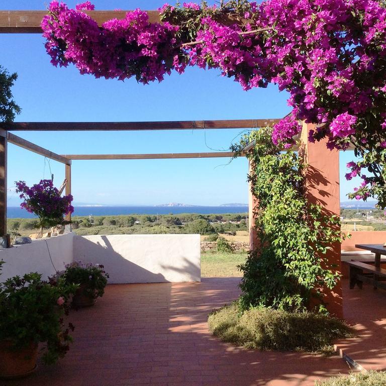 Villa Stazzo La Foci Soluzioni Vista Mare à Aglientu Extérieur photo